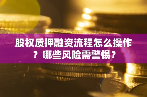济南股权质押融资流程怎么操作？哪些风险需警惕？