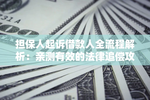济南担保人起诉借款人全流程解析：亲测有效的法律追偿攻略